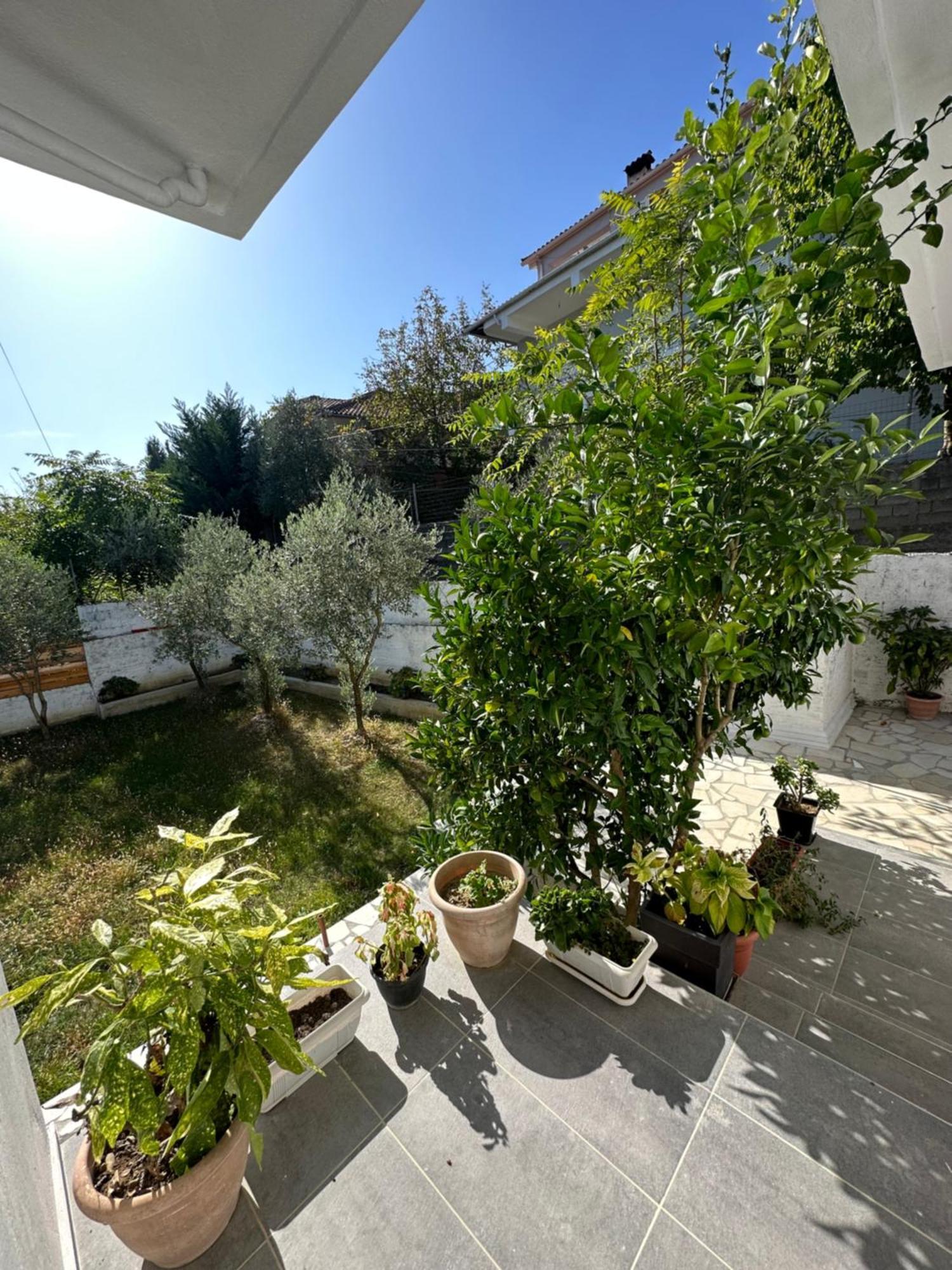 Villa Braho Gjirokastër Екстериор снимка