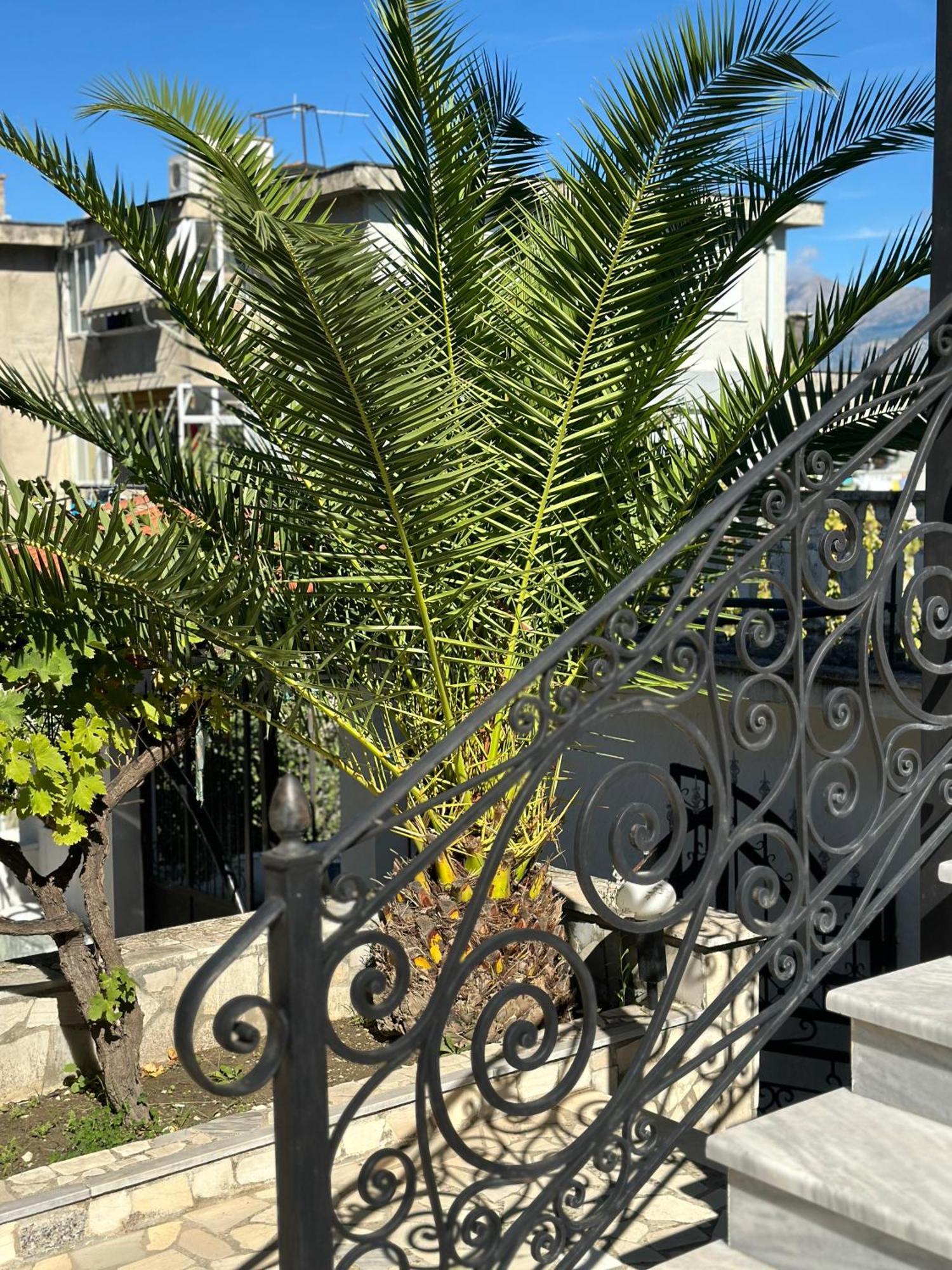 Villa Braho Gjirokastër Екстериор снимка