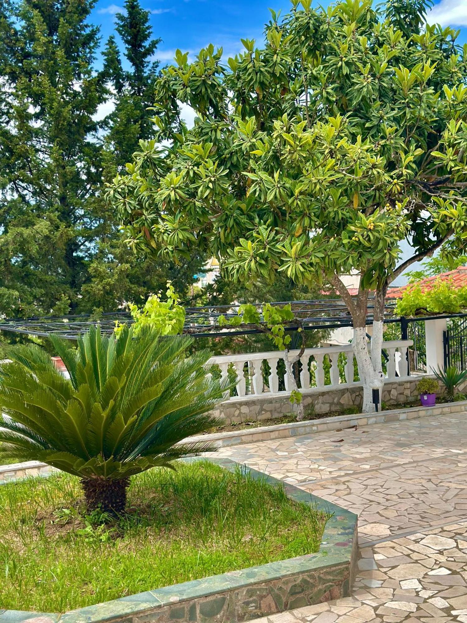 Villa Braho Gjirokastër Екстериор снимка