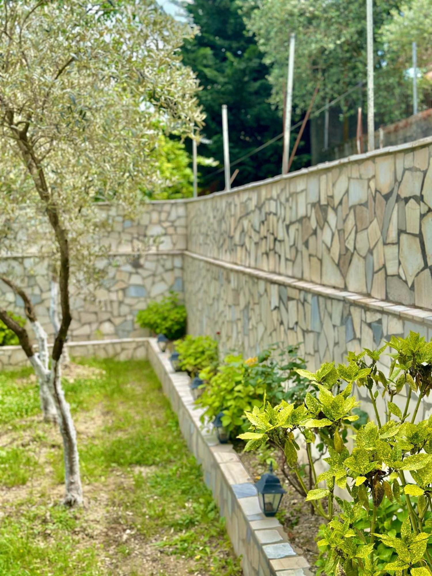 Villa Braho Gjirokastër Екстериор снимка